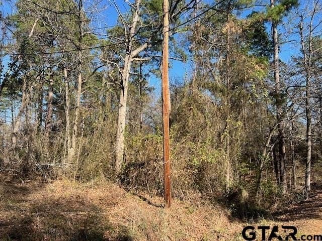 881 acres in Smith County - photo 42