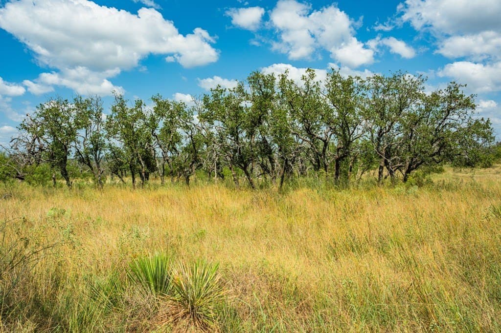 20.91 acres in Menard County featured view