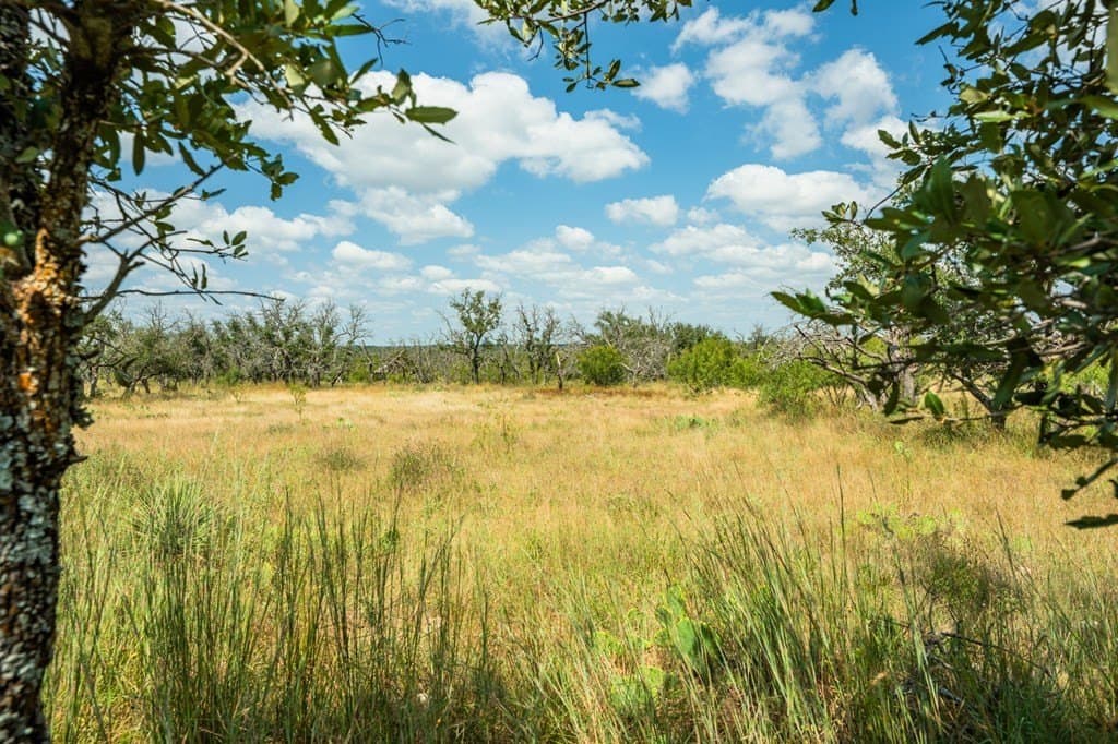 20.91 acres in Menard County gallery image 3