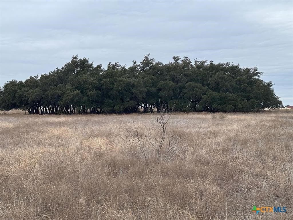 20.15 acres in Williamson County gallery image 4