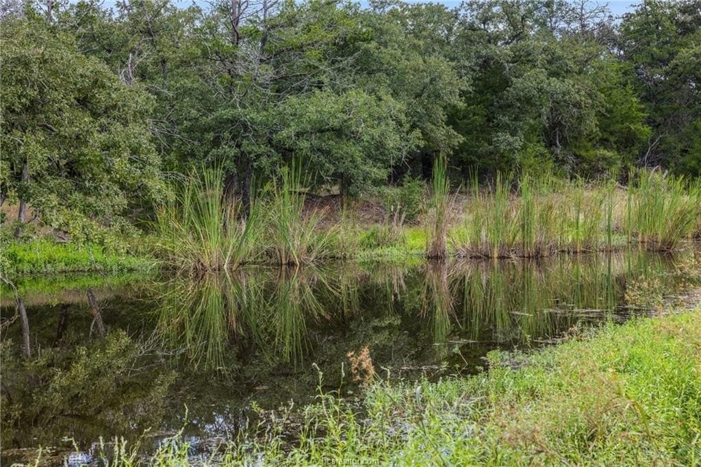 20.59 acres in Burleson County - photo 10