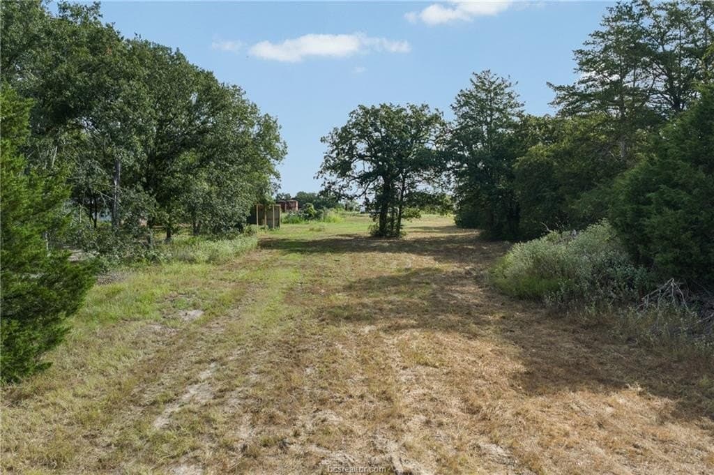 20.59 acres in Burleson County - photo 18