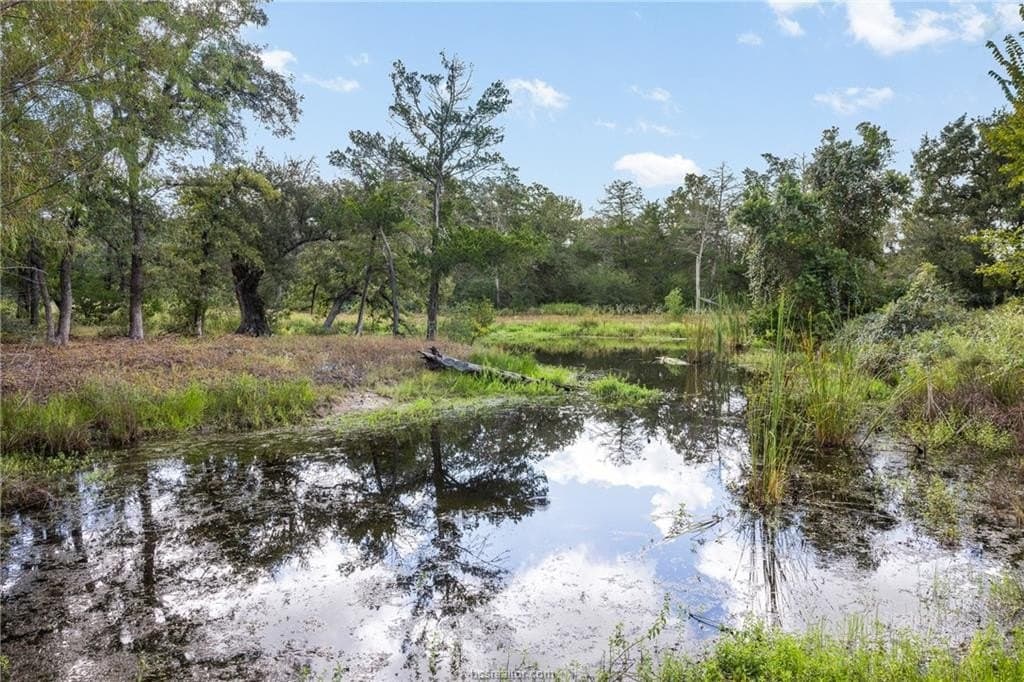 20.59 acres in Burleson County - photo 7