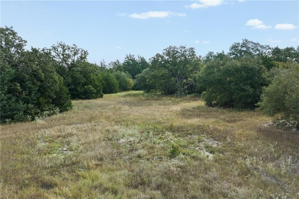 20.59 acres in Burleson County - photo 15