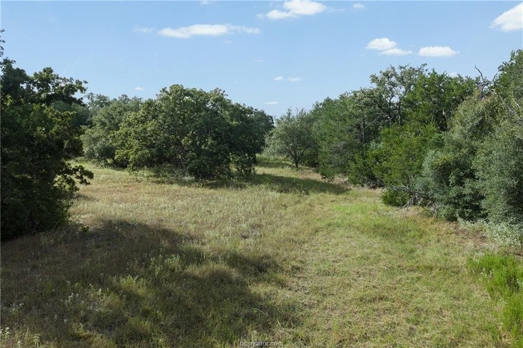 20.59 acres in Burleson County - photo 16