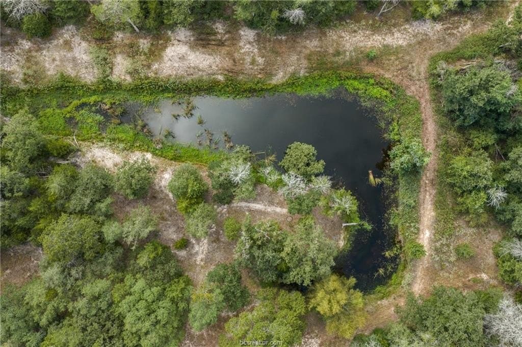 20.59 acres in Burleson County - photo 13