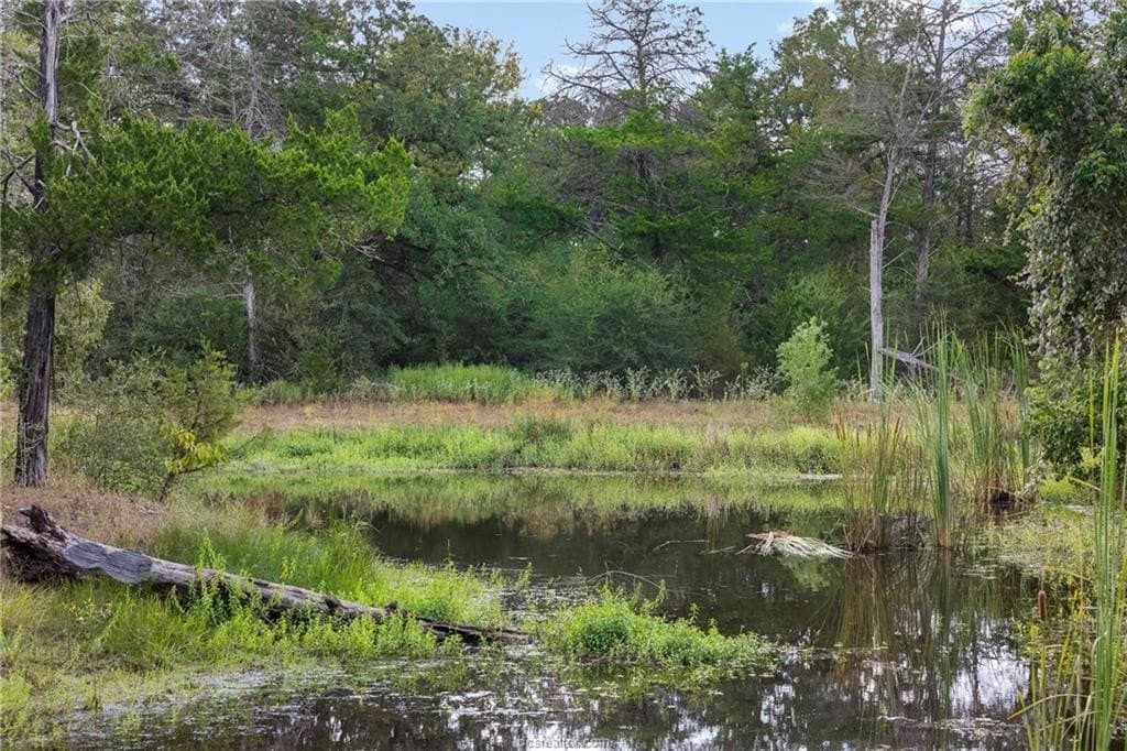 20.59 acres in Burleson County - photo 8