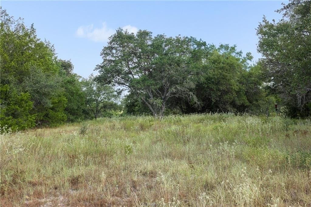 20.59 acres in Burleson County - photo 5