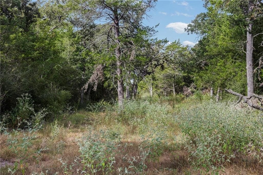 20.59 acres in Burleson County - photo 3
