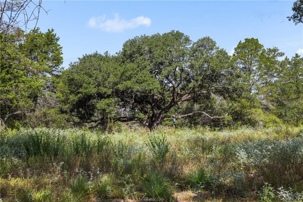 20.59 acres in Burleson County - photo 26