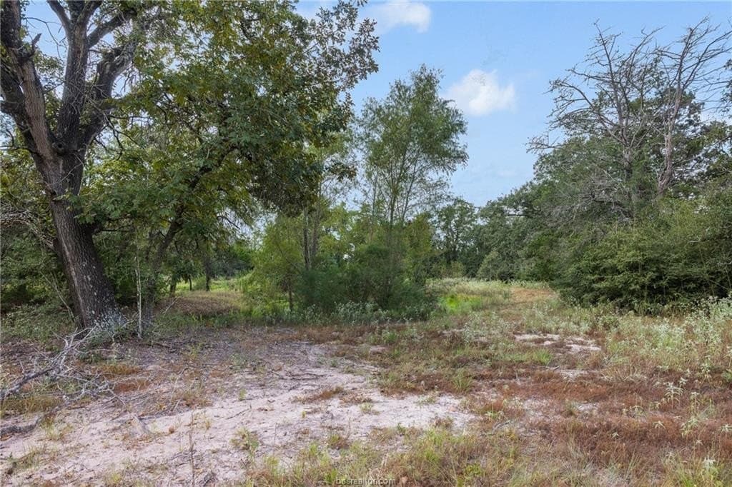 20.59 acres in Burleson County - photo 6