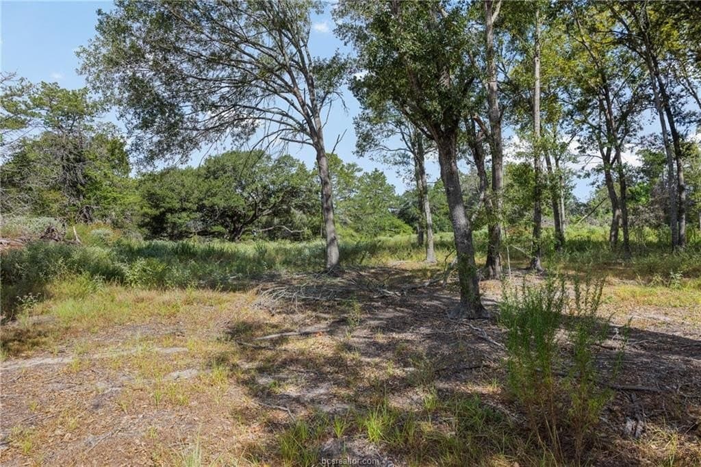 20.59 acres in Burleson County - photo 4