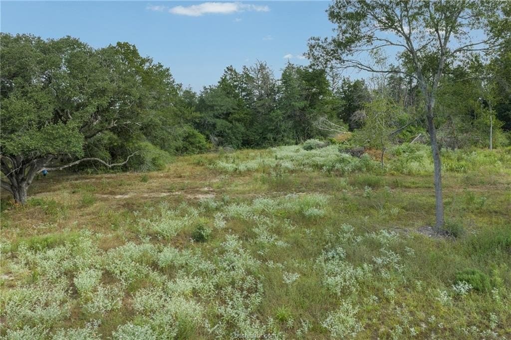 20.59 acres in Burleson County - photo 19