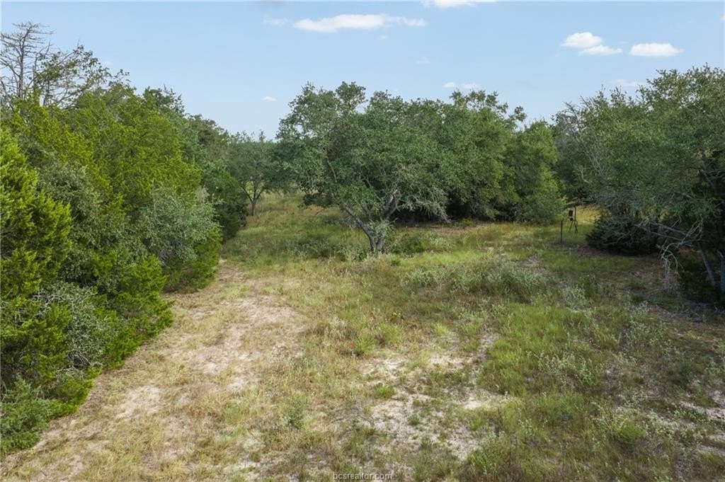 20.59 acres in Burleson County - photo 17