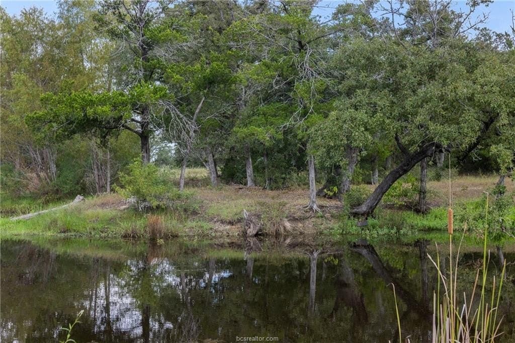 20.59 acres in Burleson County - photo 11
