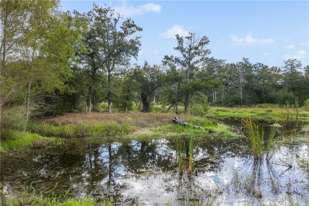 20.59 acres in Burleson County
