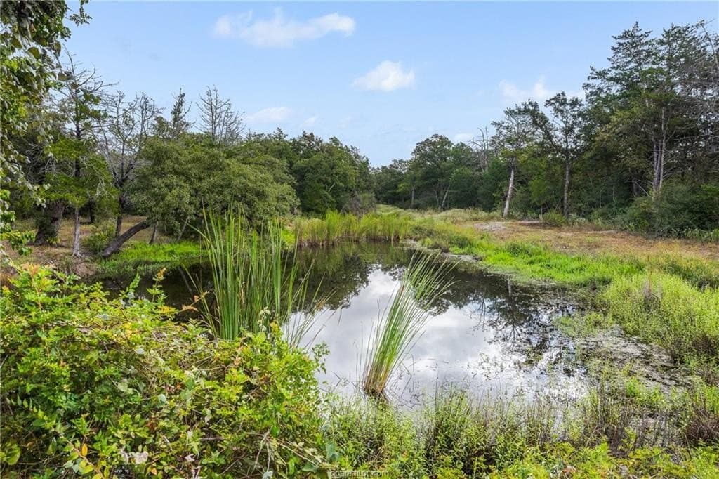 20.59 acres in Burleson County - photo 9