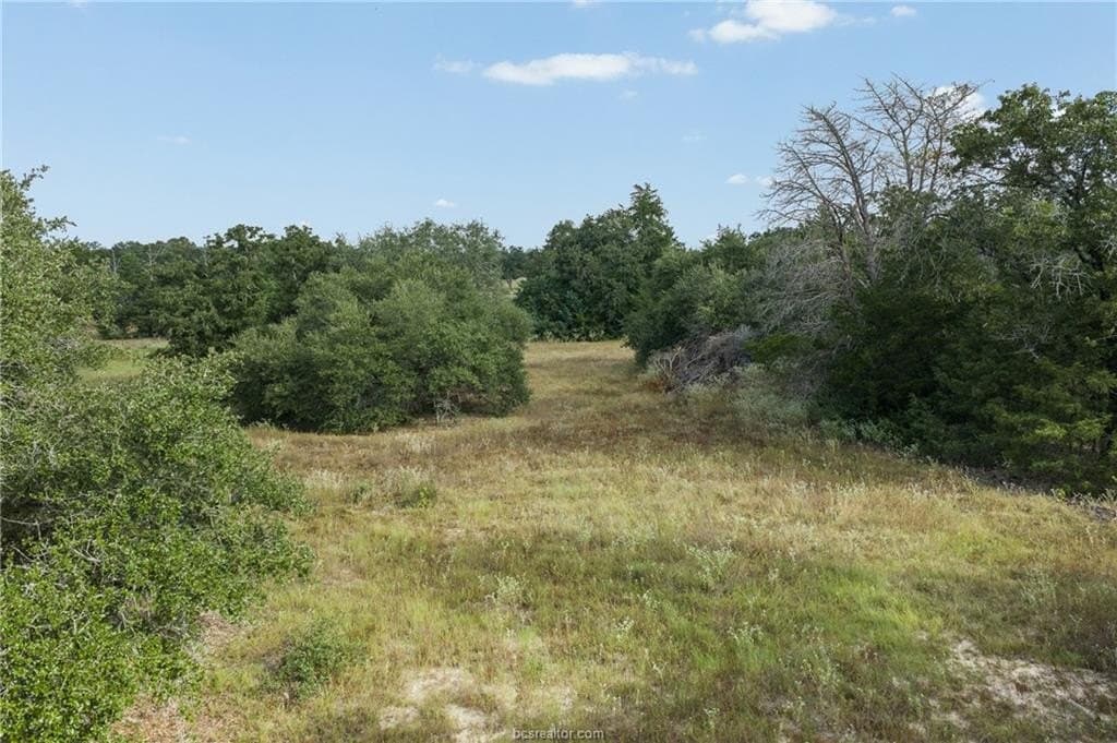 20.59 acres in Burleson County - photo 14