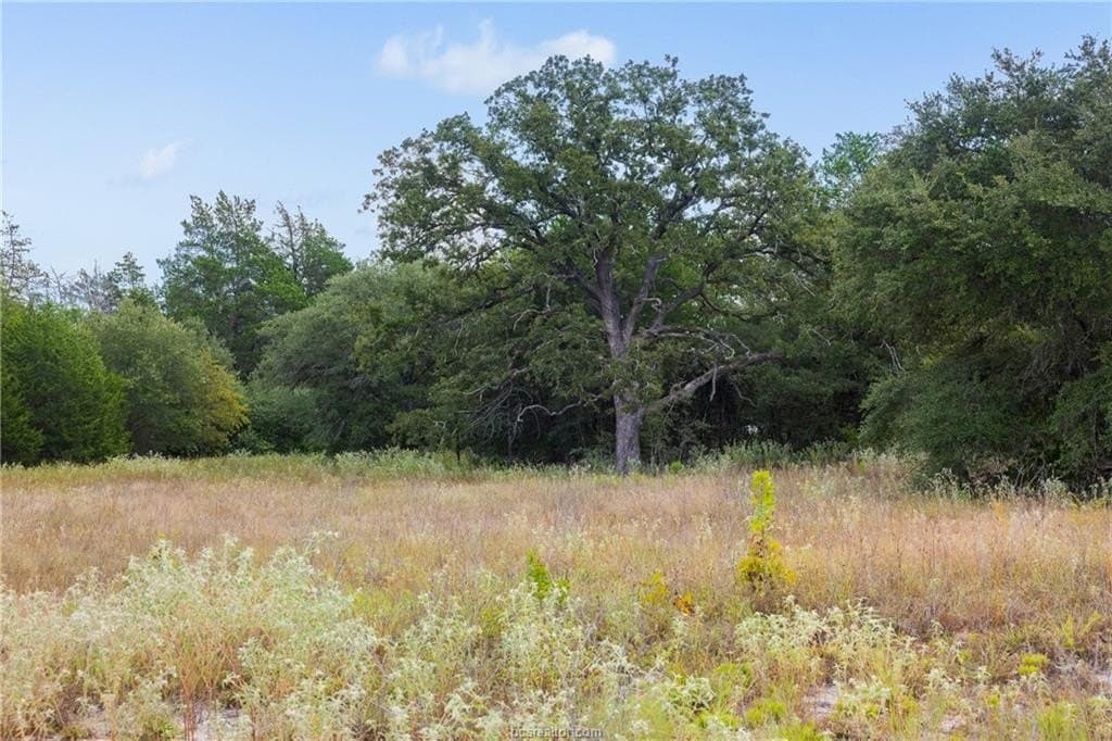 20.59 acres in Burleson County - photo 12