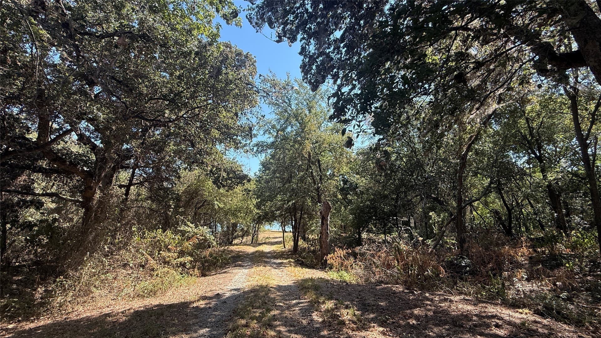 3.81 acres in Navarro County - photo 19