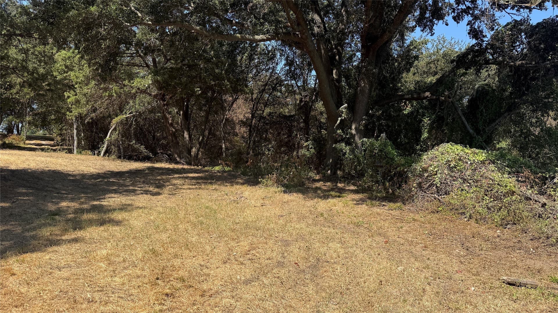 3.81 acres in Navarro County - photo 28