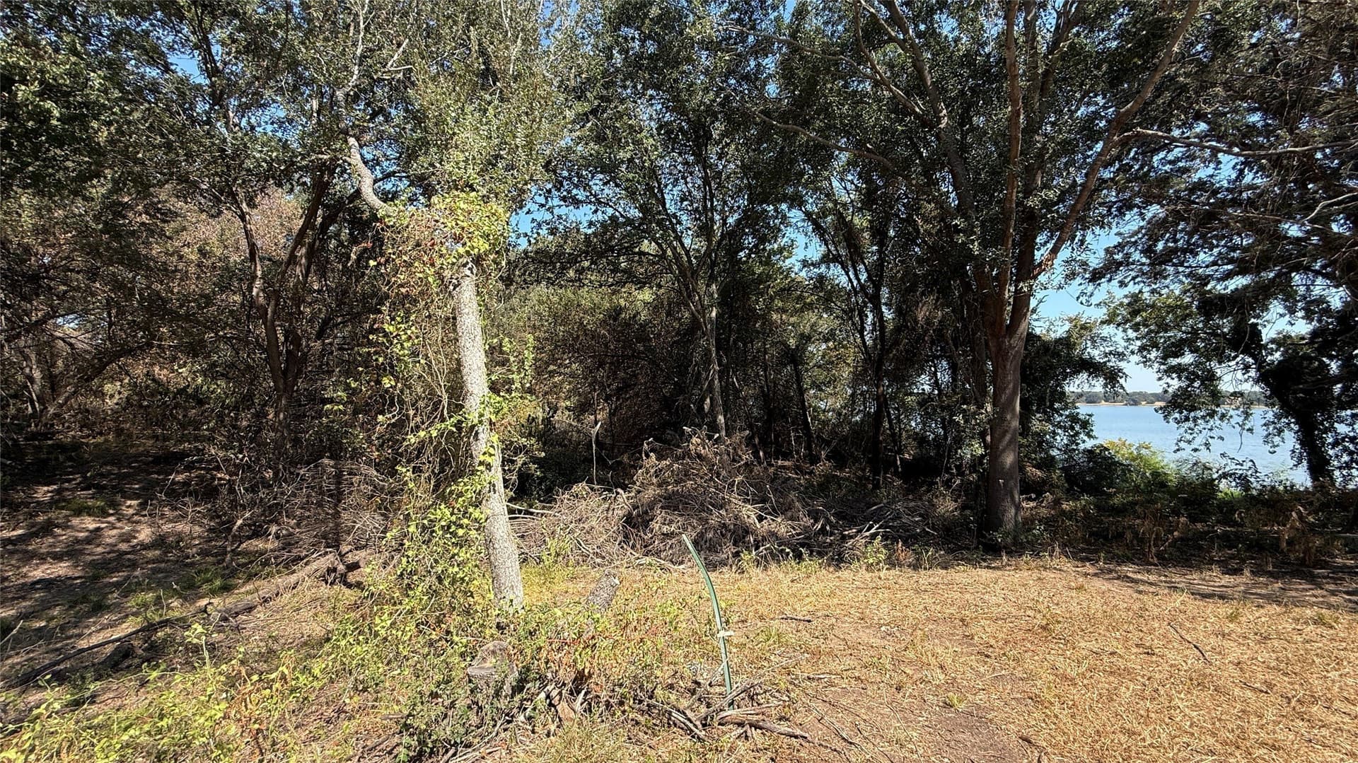 3.81 acres in Navarro County - photo 38