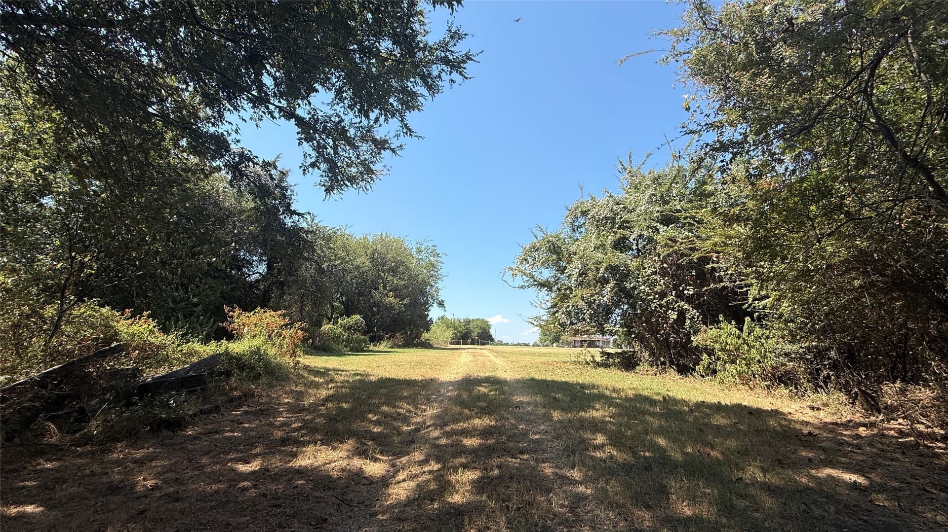3.81 acres in Navarro County - photo 15