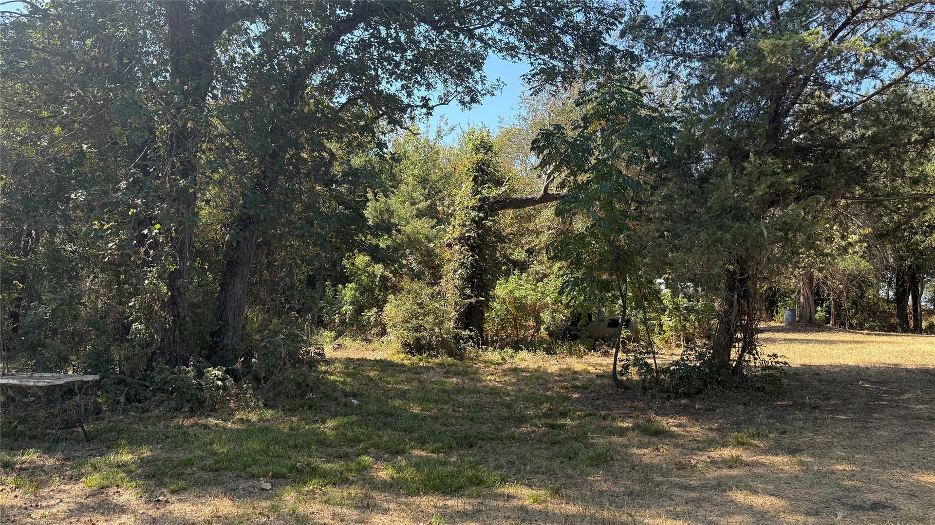 3.81 acres in Navarro County - photo 30