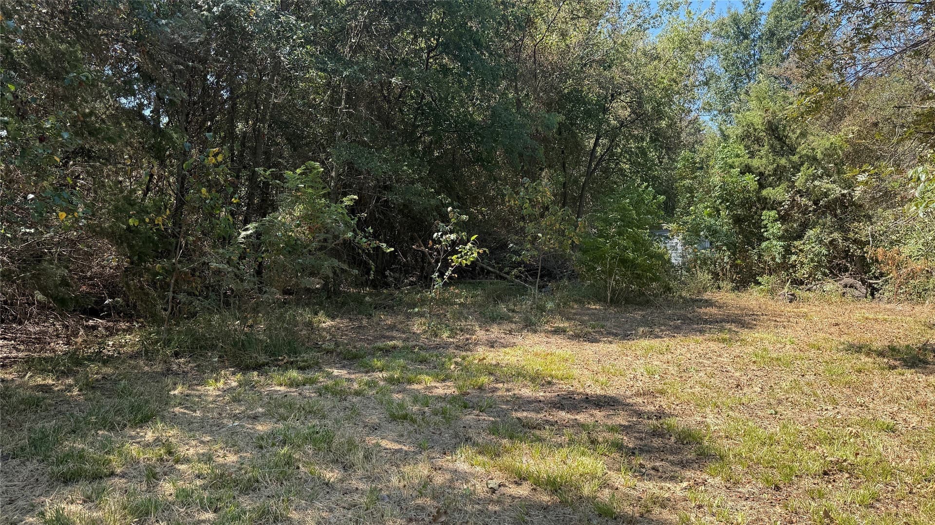 3.81 acres in Navarro County - photo 39