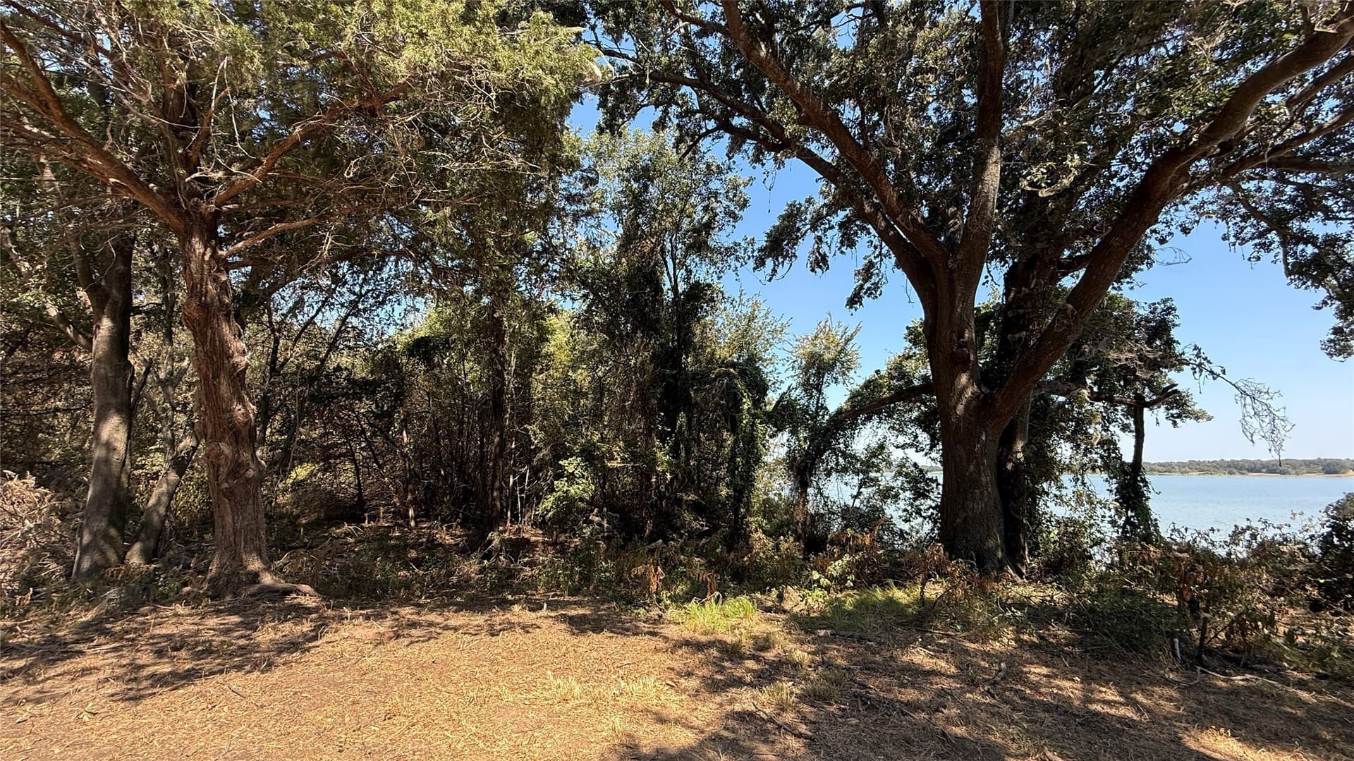3.81 acres in Navarro County - photo 26