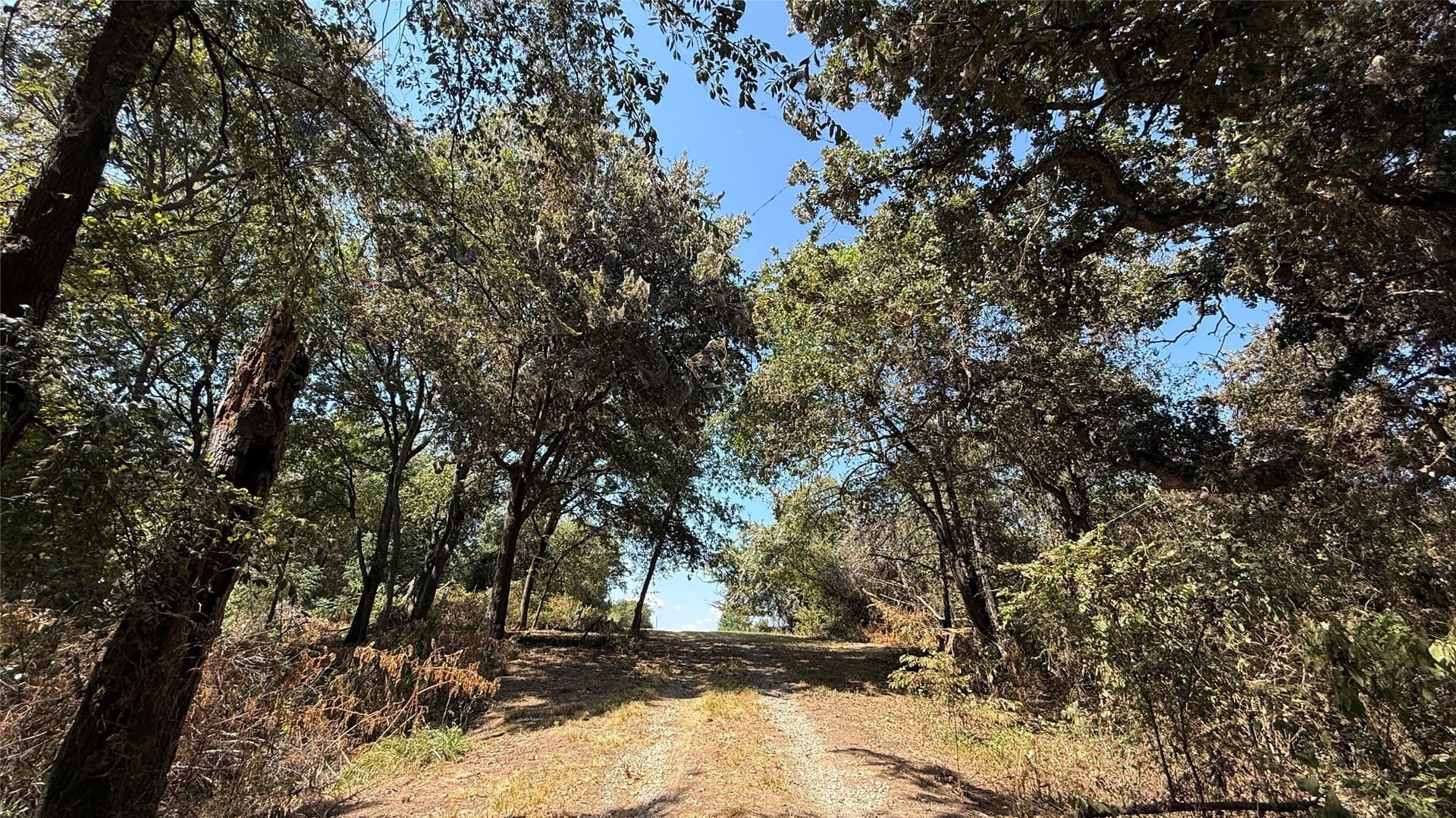 3.81 acres in Navarro County - photo 22