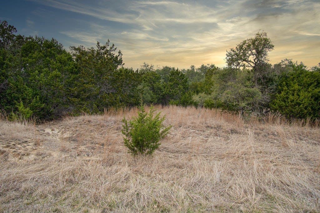 2.04 acres in Blanco County gallery image 4
