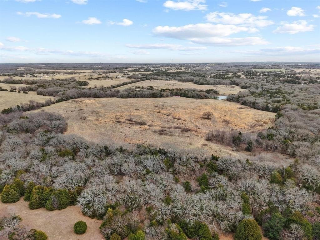 50.5 acres in Grayson County gallery image 3
