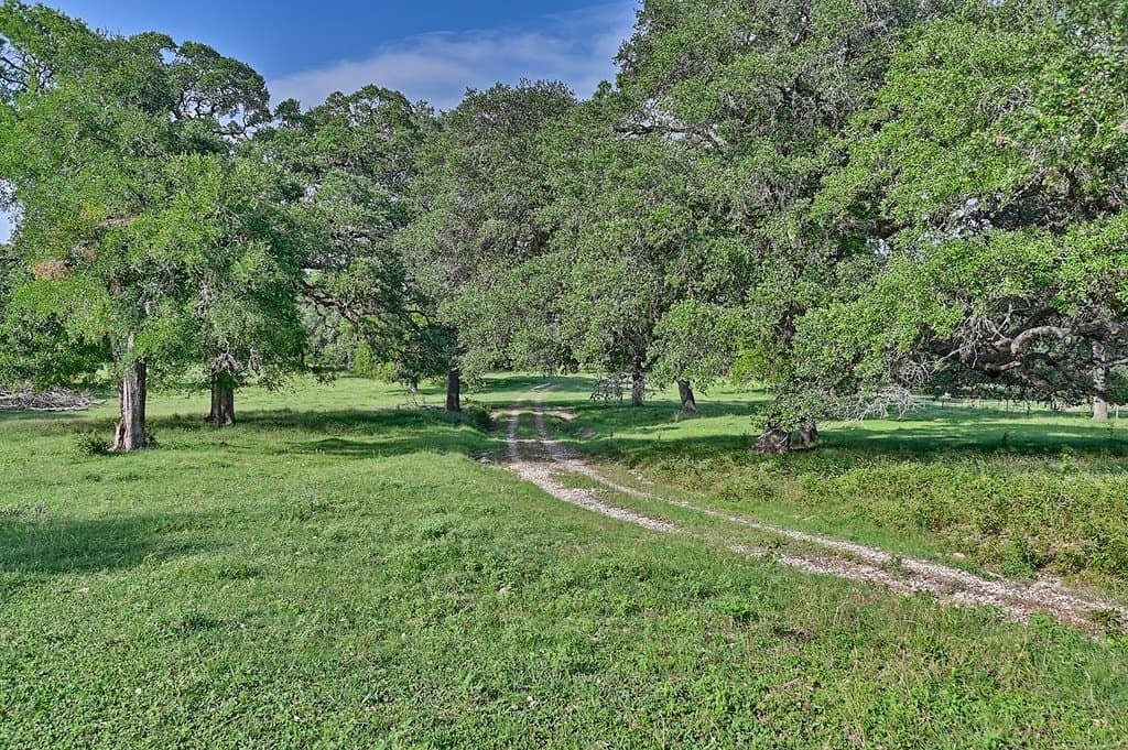 37.54 acres in Washington County gallery image 3