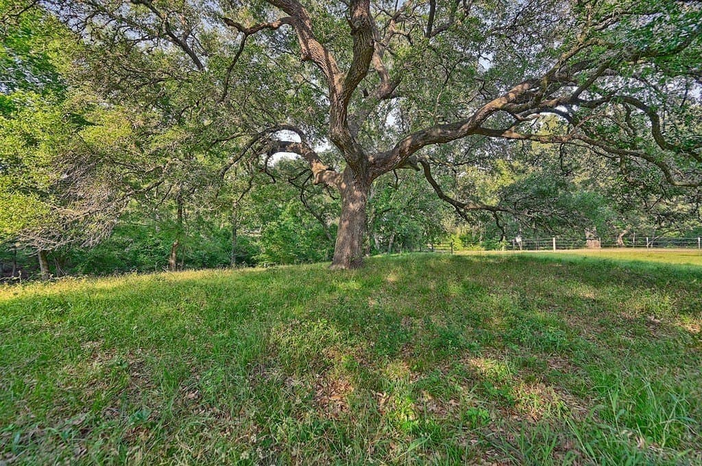 37.54 acres in Washington County featured view