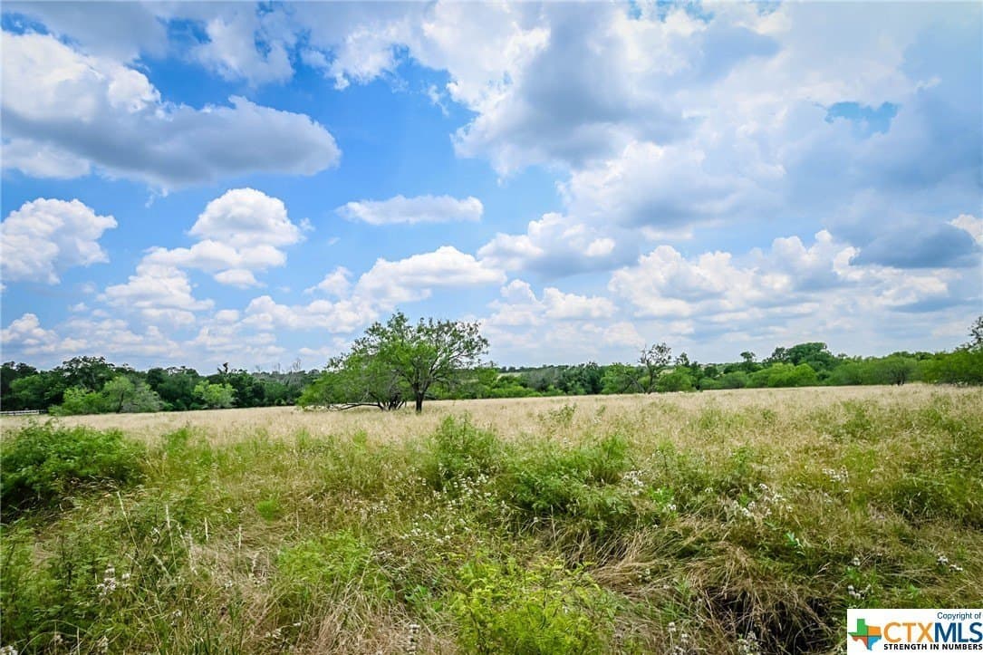 10.01 acres in Gonzales County - photo 7