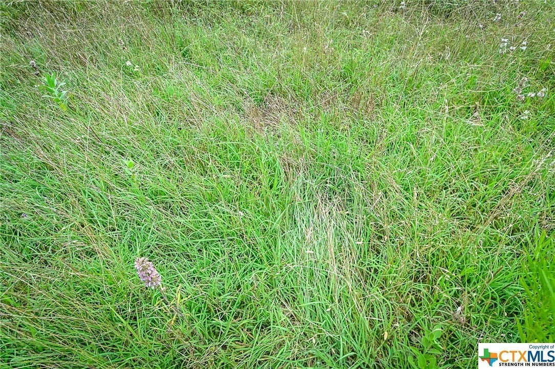 10.01 acres in Gonzales County - photo 11