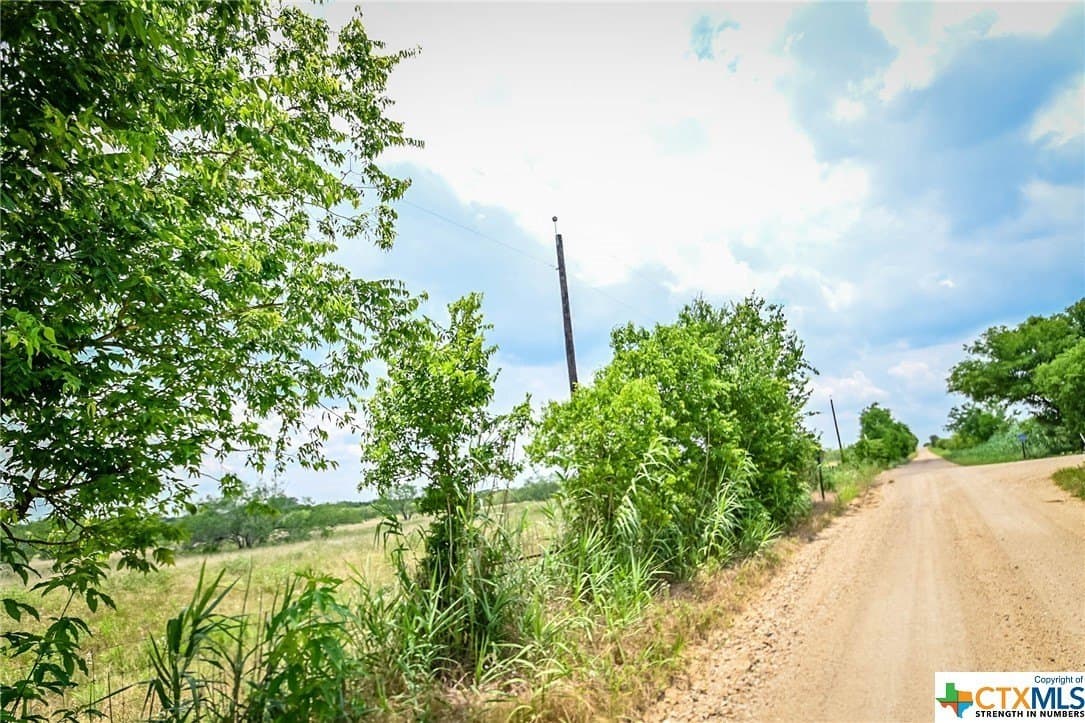 10.01 acres in Gonzales County - photo 4
