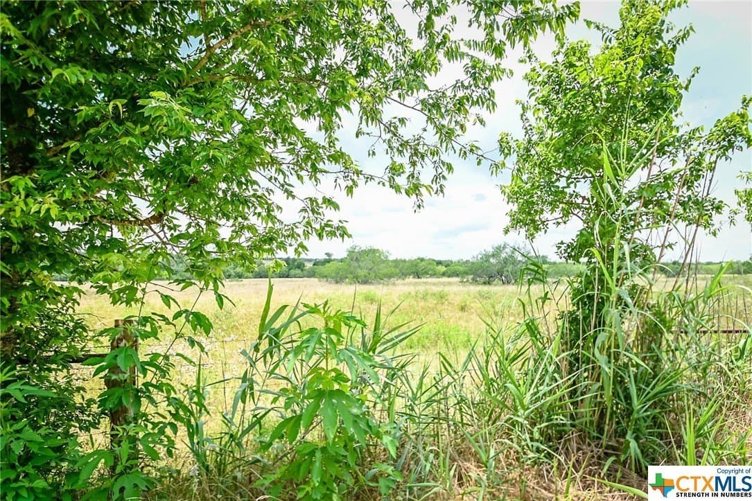 10.01 acres in Gonzales County - photo 5