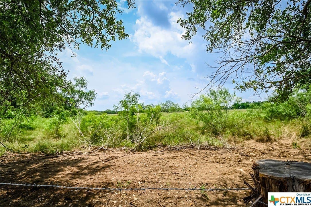 10.01 acres in Gonzales County - photo 13
