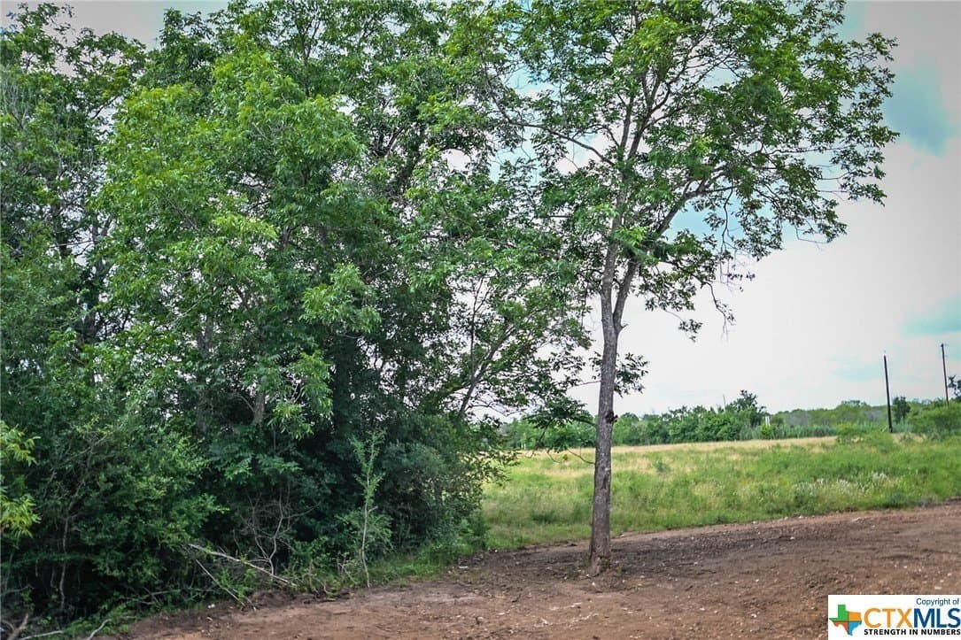 10.01 acres in Gonzales County - photo 19