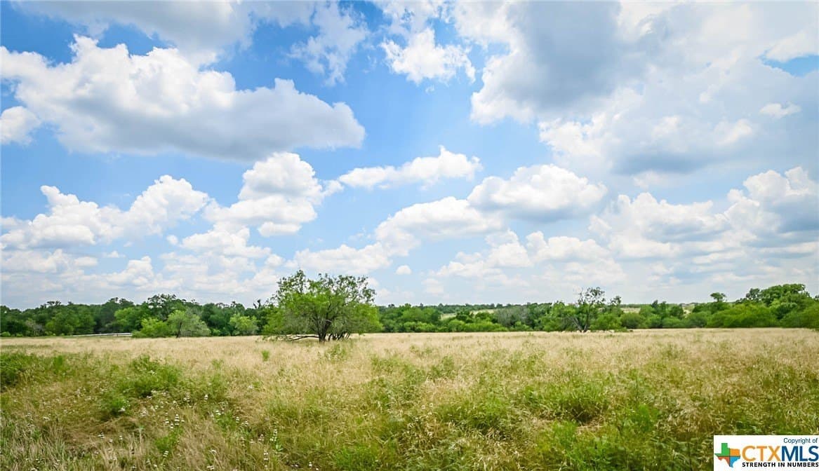 10.01 acres in Gonzales County - photo 10