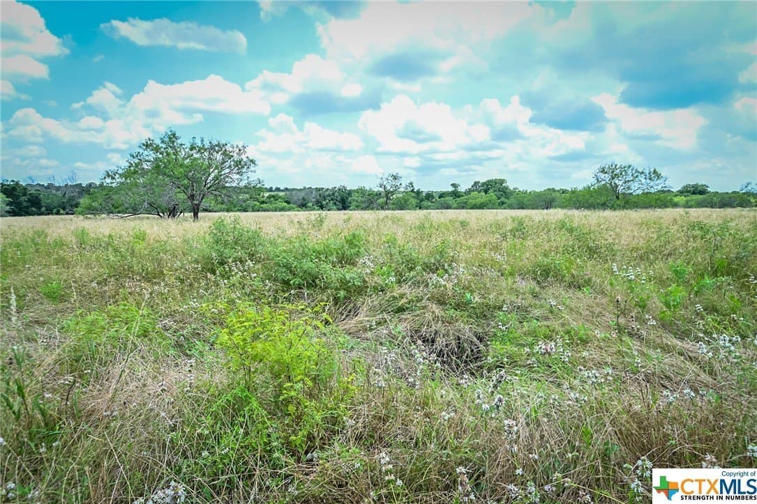 10.01 acres in Gonzales County - photo 6