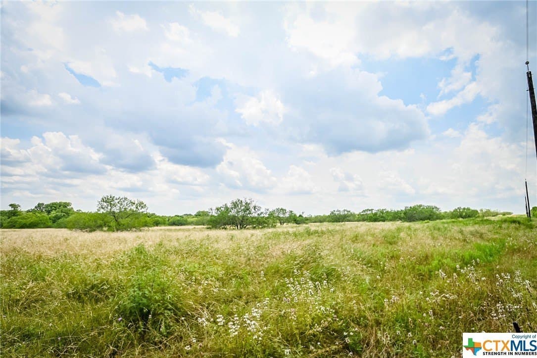 10.01 acres in Gonzales County - photo 9