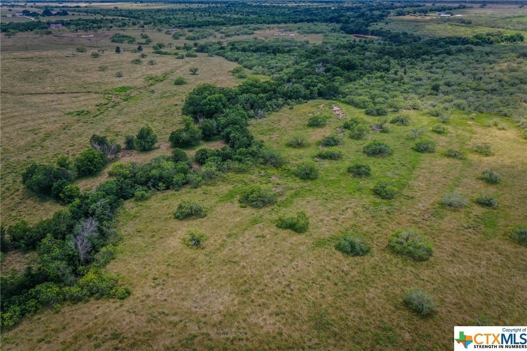 10.01 acres in Gonzales County - photo 25