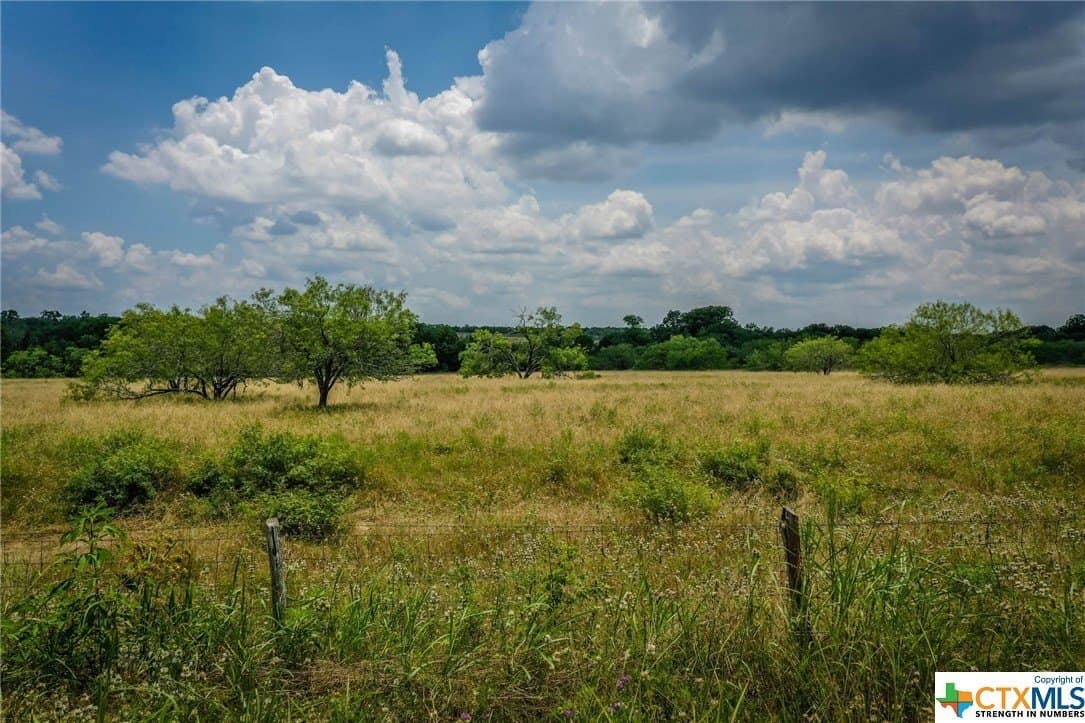 10.01 acres in Gonzales County - photo 20