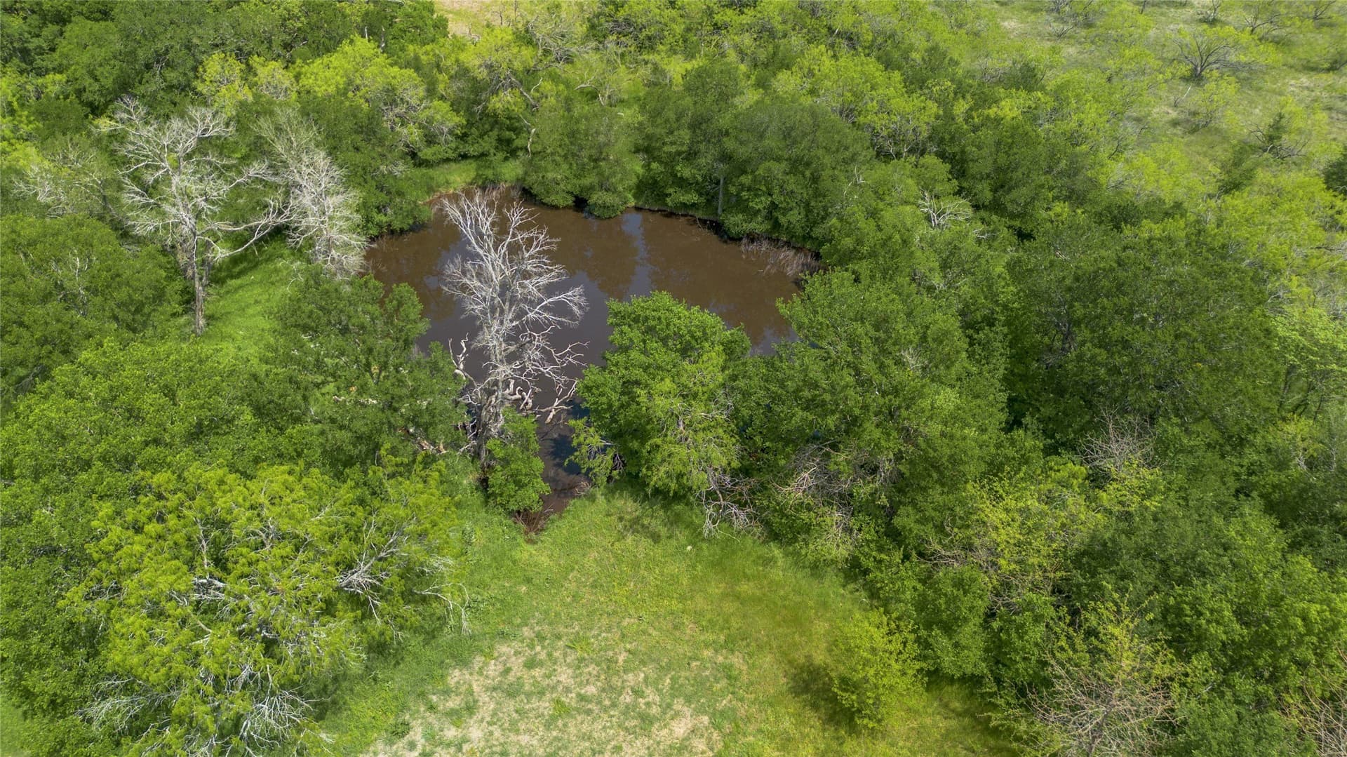 37.88 acres in Hill County - photo 16