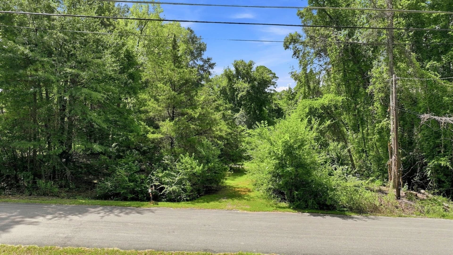0.43 acres in Texas County - photo 3