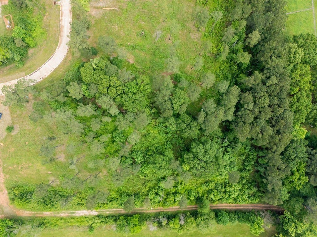 1.83 acres in Harrison County - photo 11