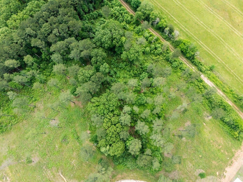 1.83 acres in Harrison County gallery image 2
